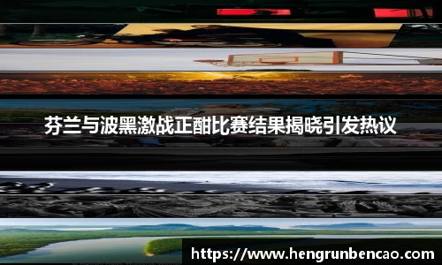 芬兰与波黑激战正酣比赛结果揭晓引发热议